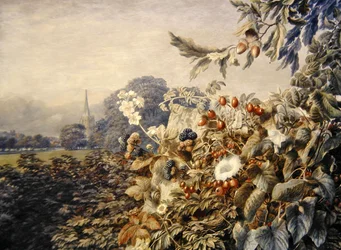 Paisaje de verano