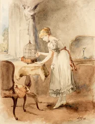 Alimentando al Canario