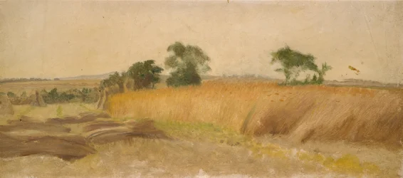 Estudio de un campo de maíz, mediados del siglo XIX