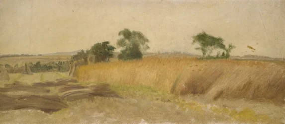 Estudio de un campo de trigo