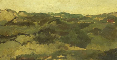 Un paisaje de brezo, presumiblemente en Drenthe