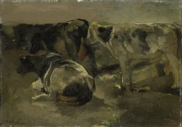 Cuatro vacas