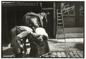 Farrier en el trabajo con un caballo
