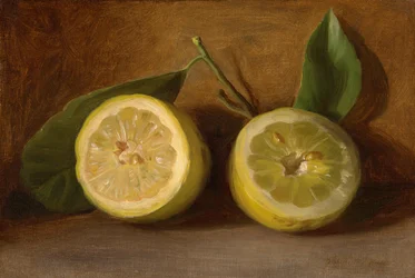 Limones