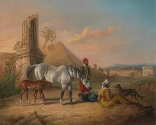 Yegua árabe gris y potro, con una familia