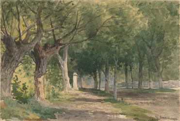 Avenida de los árboles