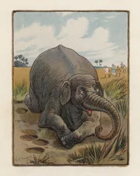 El elefante (litografía en color)