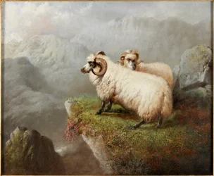 Ovejas en un acantilado, c.1865-68