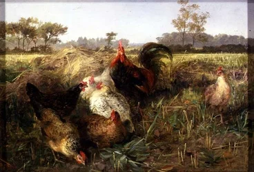 Aves en el rastrojo