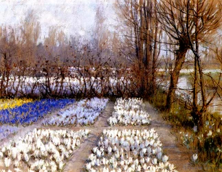 Un campo de crocus en primavera, c.1889