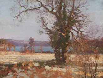 Winter Sunshine (óleo sobre lienzo)