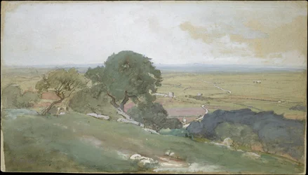 Olivos en Tívoli