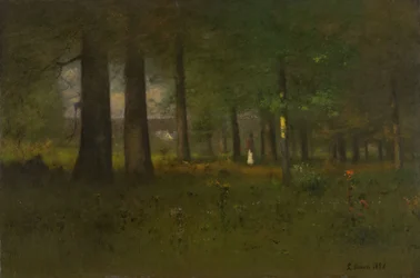 El borde del bosque