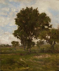 El olmo