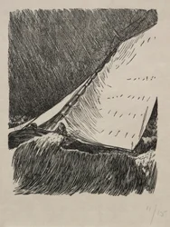 Segundas reflexiones, 1866