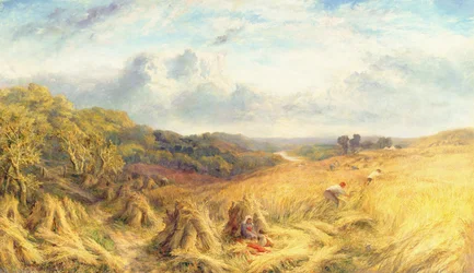 Ondea el Maíz Dorado