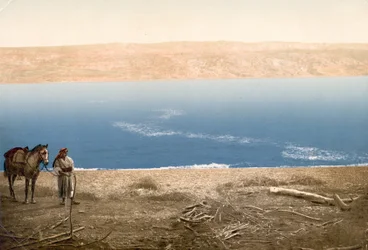 Hombre con caballo parado cerca del Mar Muerto, c.1890-c.1900 (impresión fotocromática)