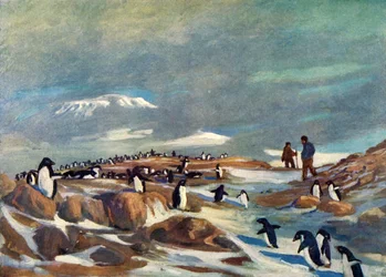 Regreso de los pingüinos, c. 1908
