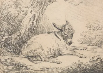 Estudio de un burro bajo un árbol