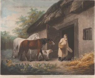 El comedero para caballos