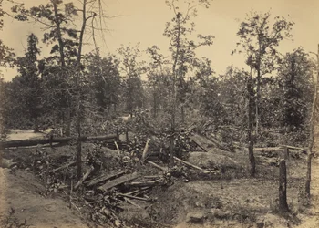 Campo de batalla de Atlanta, Georgia, 22 de julio de 1864, n.º 1