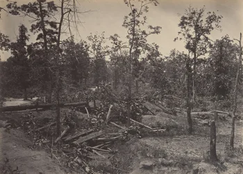 Campo de Batalla de Atlanta, Georgia, 22 de julio de 1864 No. 1, 1860s