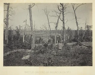 Campo de batalla de Resacca, GA, No. 3, 1866