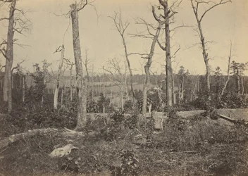 Campo de batalla de Resaca, Georgia, No 3,1864 (foto)