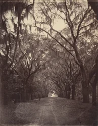 Cementerio de Bonaventure, a cuatro millas de Savannah