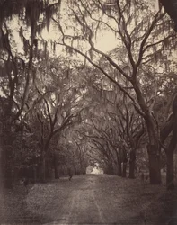 Cementerio de Bonaventure, a cuatro millas de Savannah