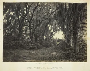 Buenaventura, Savannah, Ga., 1866