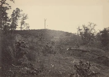 Montaña de Pinos, 1860s