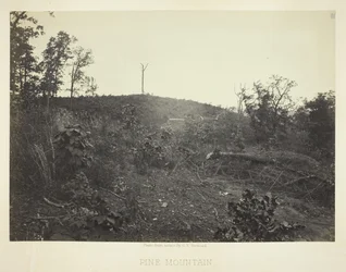 Montaña Pine, 1866