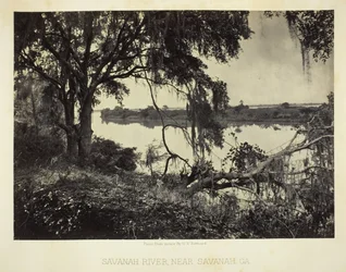 Río Savannah, cerca de Savannah, GA, 1866