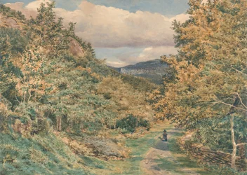 Una carretera cerca de Bettws-y-Coed