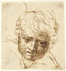 Cabeza de un niño