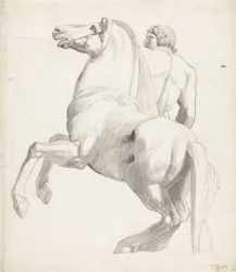 Jinete de Montecavallo