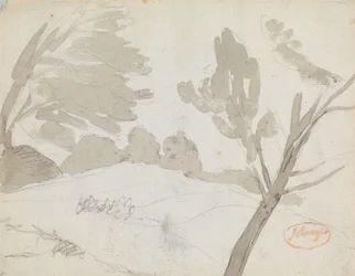 Paisaje