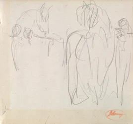 Estudios sobre caballos
