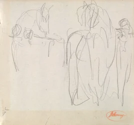 Estudios sobre caballos