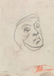 Estudio de una cabeza
