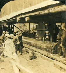 La industria maderera, Warburton, Victoria, Australia, 1909