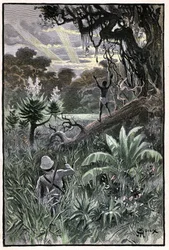 Ilustración de George Roux para el libro de Julio Verne "The Aerien Village" (1901), edición Hetzel/Extraordinary Voyages, Known and Unknown Worlds. Vista de un bosque africano (Congo).