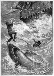 Novela de Julio Verne "Les histoires de Jean-Marie Cabidoulin" (1901), Colección Hetzel/Extraordiaires, ilustración de George Roux. "Escena marítima: marinero atacado por un tiburón en el Océano Pacífico".