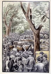 La multitud ya abarrotaba el lugar de la competencia (página 259) en "Testamento de un excéntrico" por Jules Verne