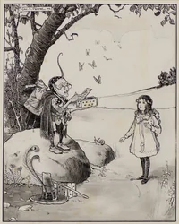 Caja mágica de mariposas