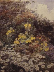 Onagras de la Tarde, Swinford Manor