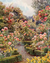 Por todas partes hay rosas, rosas" (litografía en color)