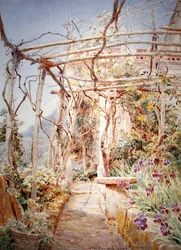 Iris bajo la pérgola