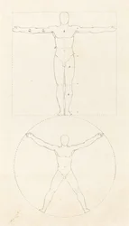 Círculo y Cuadrado de la Figura Humana